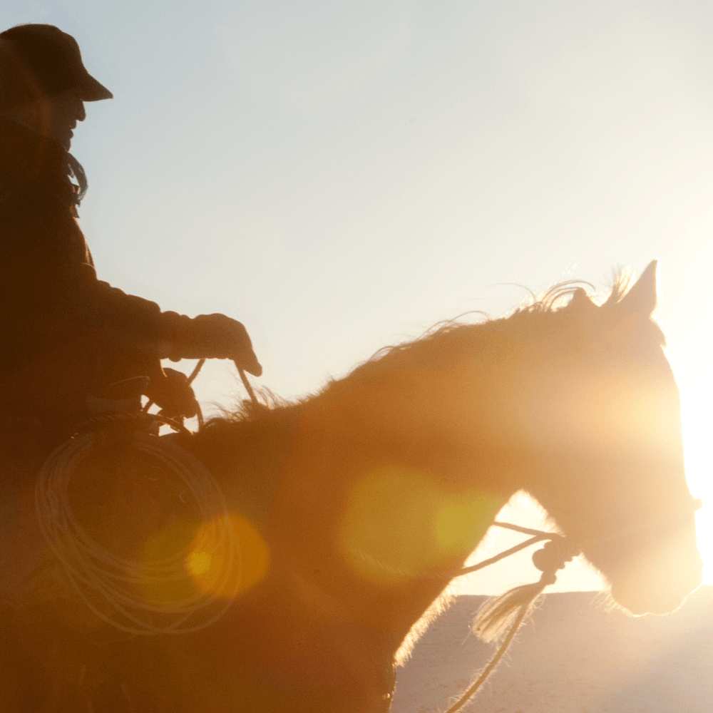 dave-munsick-sheridan-wyoming-western-artist-singer-songwriter-performer-1